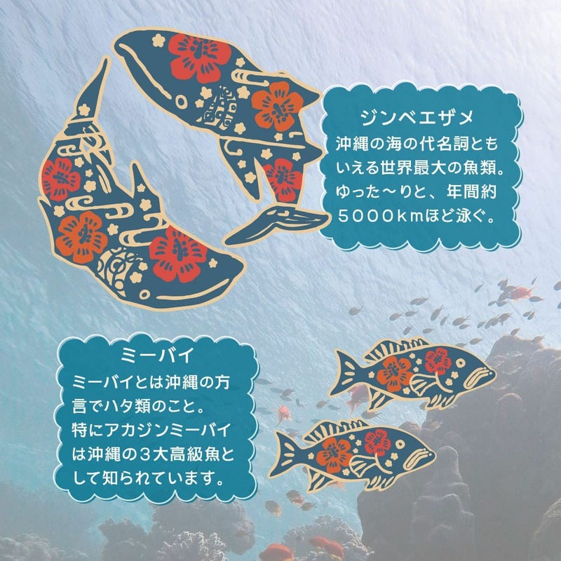 デザイン紹介