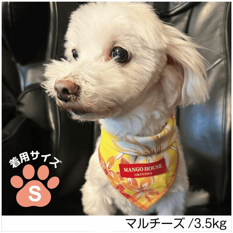 ペット用バンダナ着用画像
