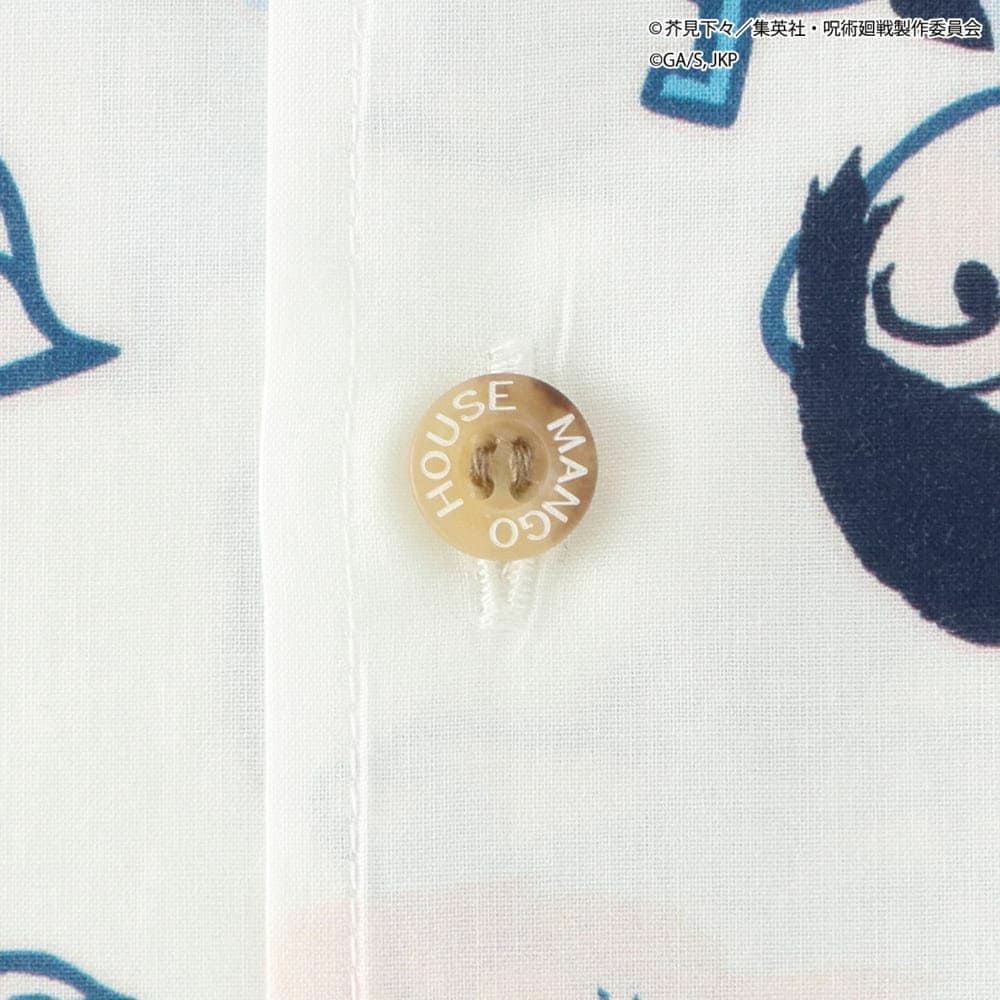 ボタン拡大画像