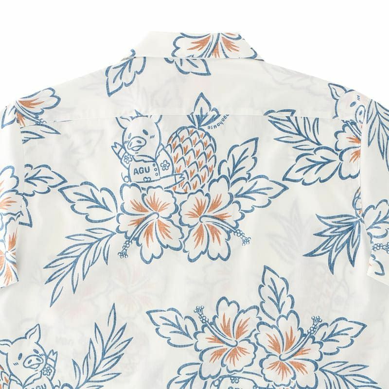 柄が綺麗に見える