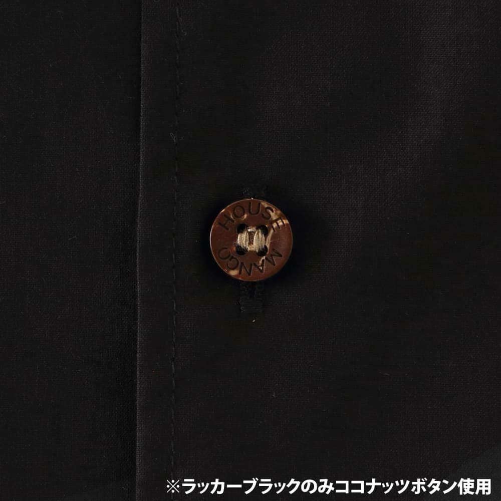 ボタン拡大画像