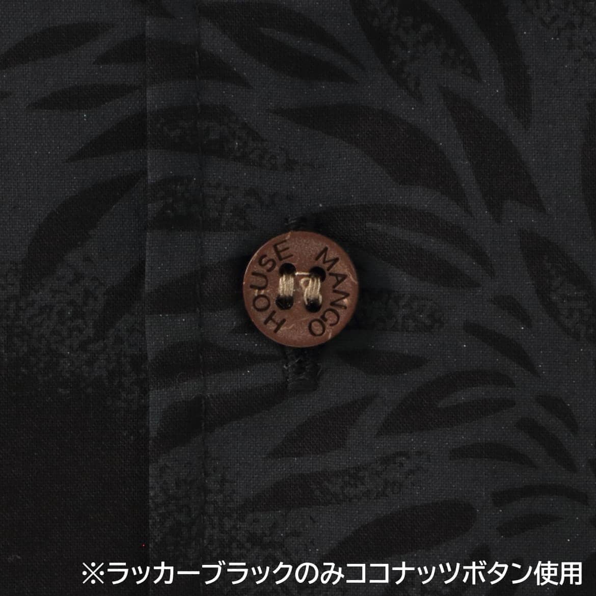 ボタン拡大画像