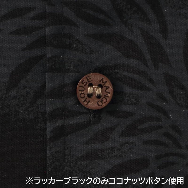 ボタン拡大画像