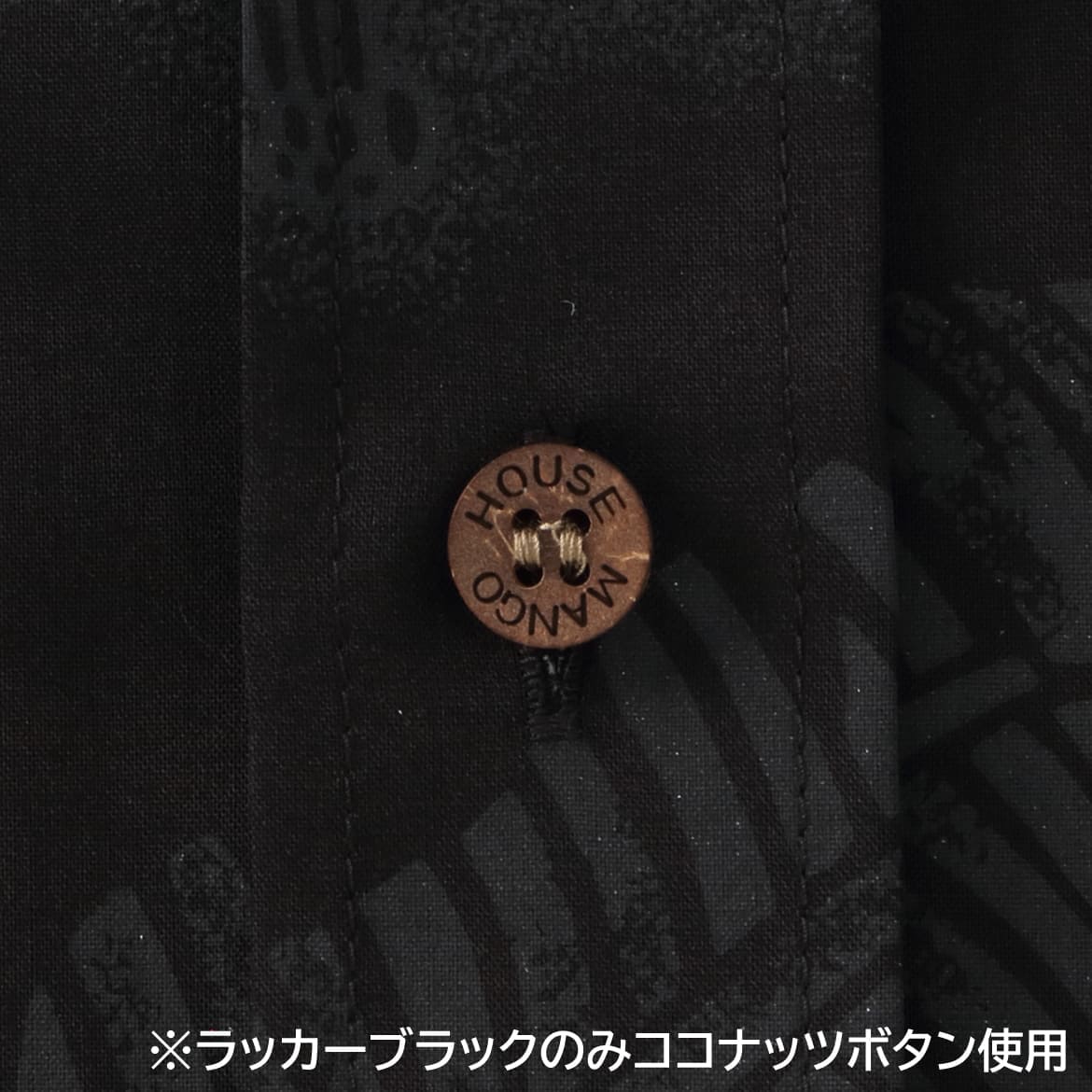 ボタン拡大画像